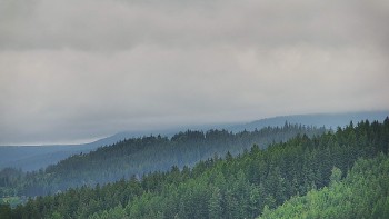 Ski areál U Sachovy studánky