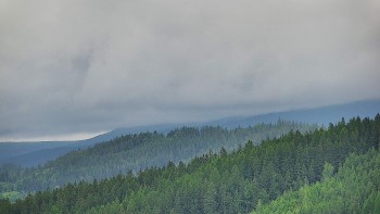 Ski areál U Sachovy studánky
