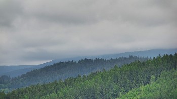 Ski areál U Sachovy studánky