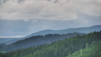 Ski areál U Sachovy studánky