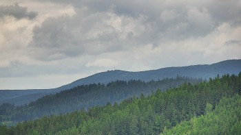 Ski areál U Sachovy studánky