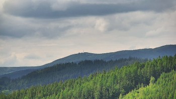Ski areál U Sachovy studánky