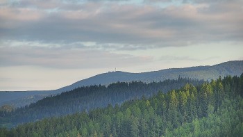 Ski areál U Sachovy studánky
