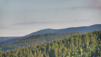 Ski areál U Sachovy studánky