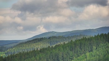 Ski areál U Sachovy studánky