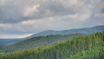 Ski areál U Sachovy studánky