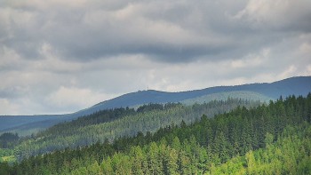 Ski areál U Sachovy studánky