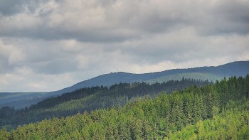 Ski areál U Sachovy studánky