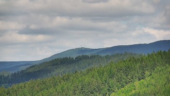 Ski areál U Sachovy studánky