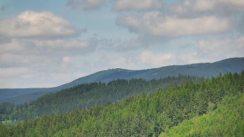 Ski areál U Sachovy studánky