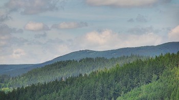 Ski areál U Sachovy studánky