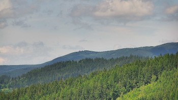 Ski areál U Sachovy studánky