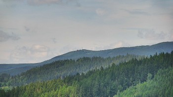 Ski areál U Sachovy studánky