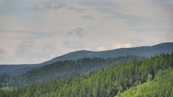 Ski areál U Sachovy studánky
