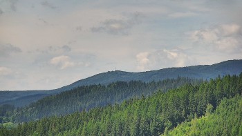Ski areál U Sachovy studánky