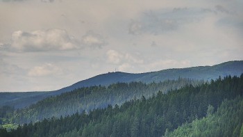Ski areál U Sachovy studánky