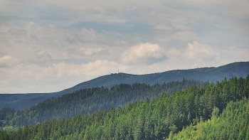 Ski areál U Sachovy studánky