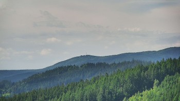 Ski areál U Sachovy studánky