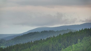 Ski areál U Sachovy studánky