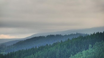 Ski areál U Sachovy studánky
