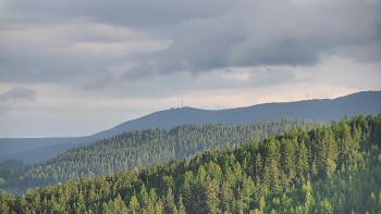 Ski areál U Sachovy studánky