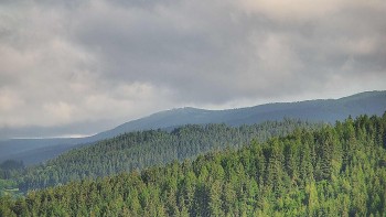 Ski areál U Sachovy studánky