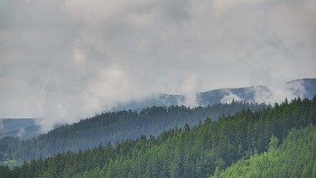 Ski areál U Sachovy studánky