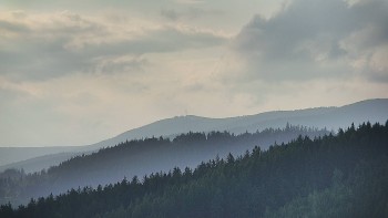 Ski areál U Sachovy studánky