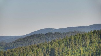 Ski areál U Sachovy studánky