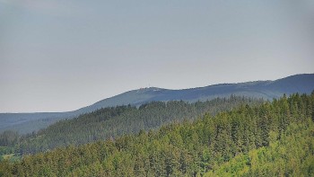 Ski areál U Sachovy studánky