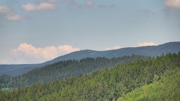 Ski areál U Sachovy studánky