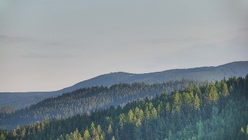 Ski areál U Sachovy studánky