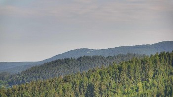 Ski areál U Sachovy studánky