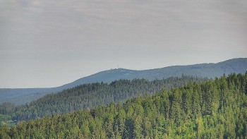 Ski areál U Sachovy studánky
