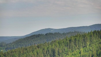 Ski areál U Sachovy studánky