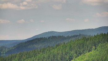 Ski areál U Sachovy studánky