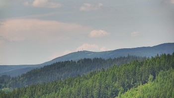 Ski areál U Sachovy studánky