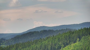 Ski areál U Sachovy studánky