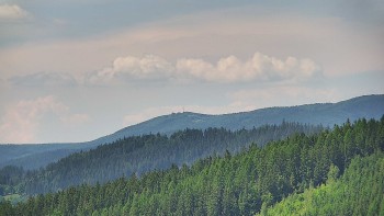 Ski areál U Sachovy studánky