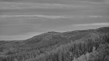 Ski areál U Sachovy studánky