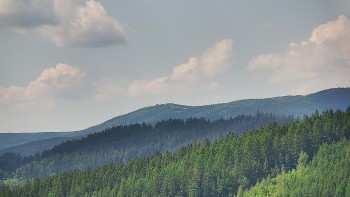Ski areál U Sachovy studánky
