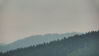Ski areál U Sachovy studánky