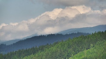 Ski areál U Sachovy studánky
