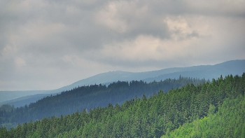 Ski areál U Sachovy studánky