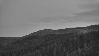 Ski areál U Sachovy studánky