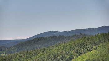 Ski areál U Sachovy studánky
