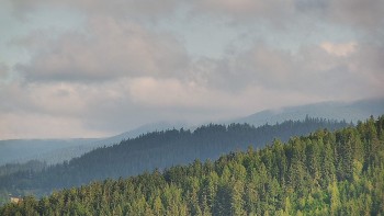 Ski areál U Sachovy studánky