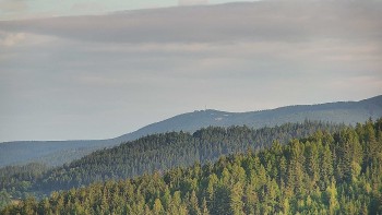 Ski areál U Sachovy studánky