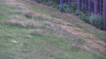 Ski areál U Sachovy studánky