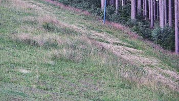 Ski areál U Sachovy studánky